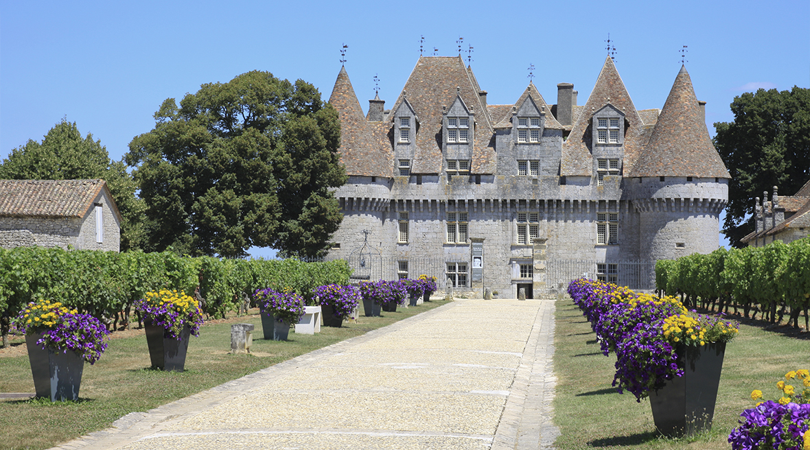An impressive French castle led up to with a driveway with purple and yellow flowers